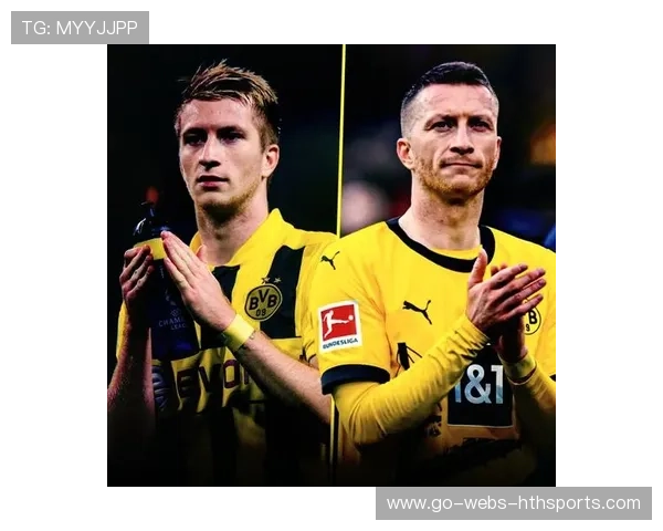 多特蒙德—罗伊斯禁区外远射应声入网